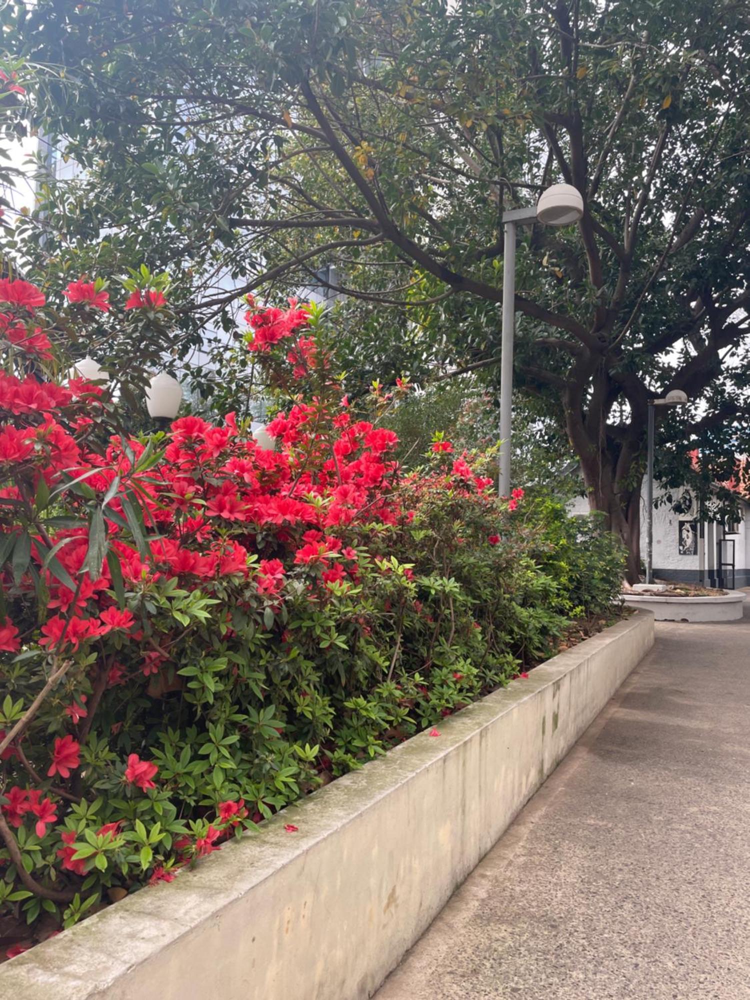 Hotel Vicente López エクステリア 写真