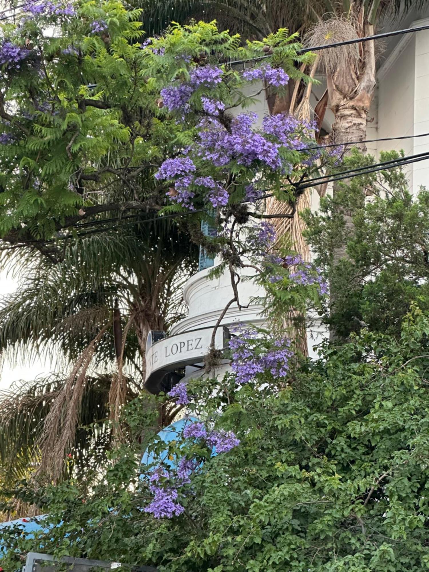 Hotel Vicente López エクステリア 写真