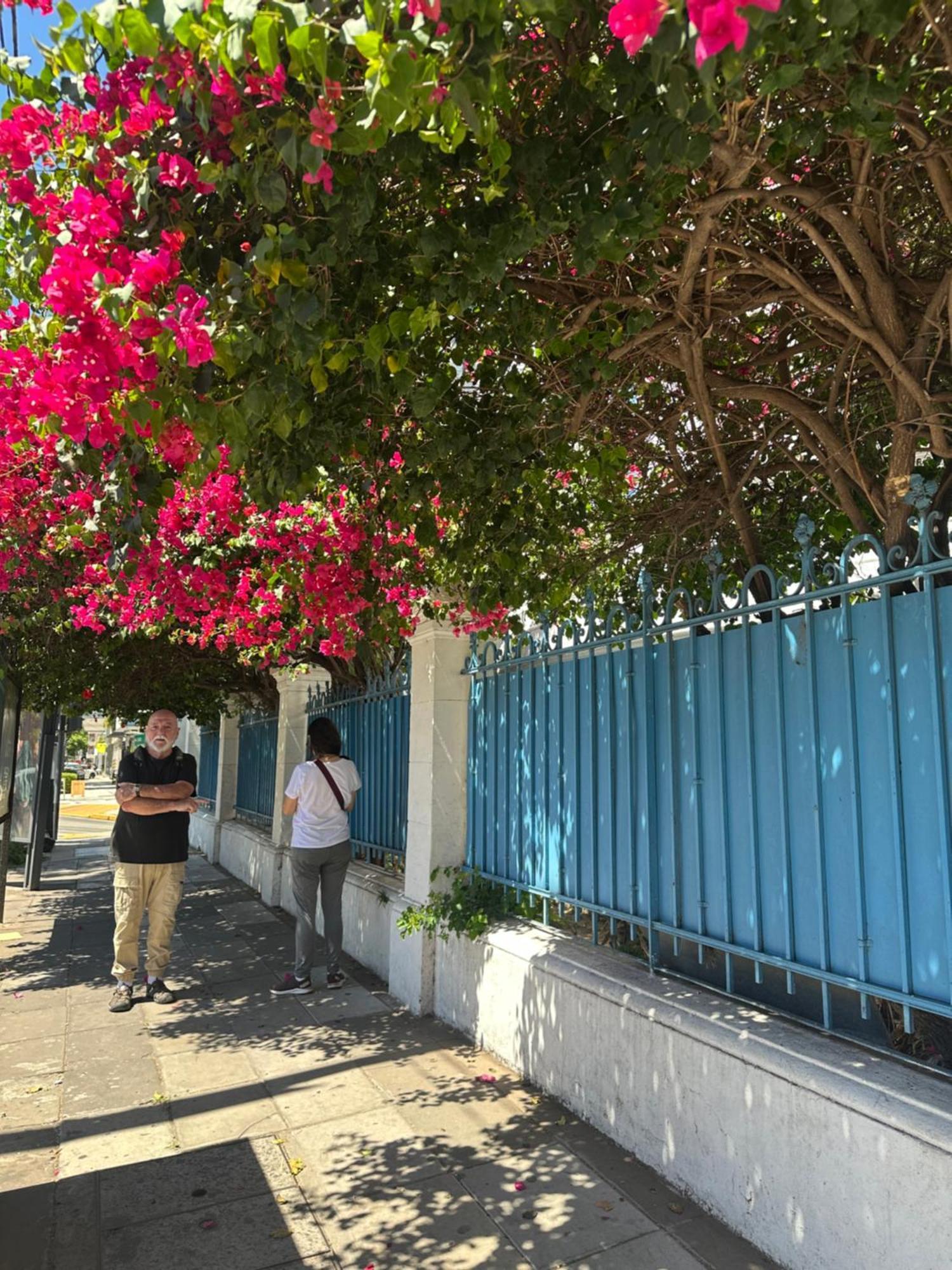 Hotel Vicente López エクステリア 写真