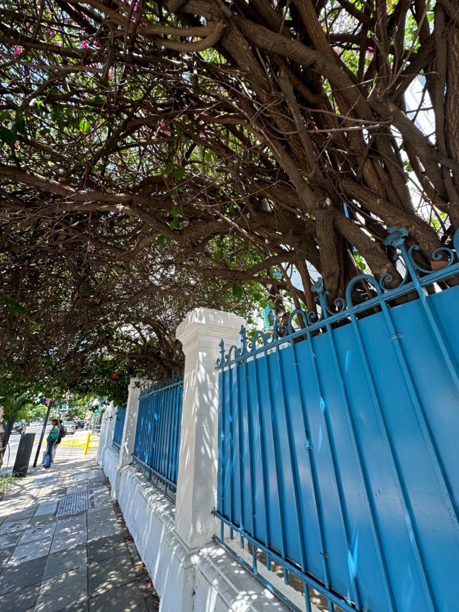 Hotel Vicente López エクステリア 写真